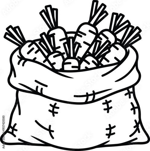 Carrots in burlap sack freshly harvested garden vector illustration