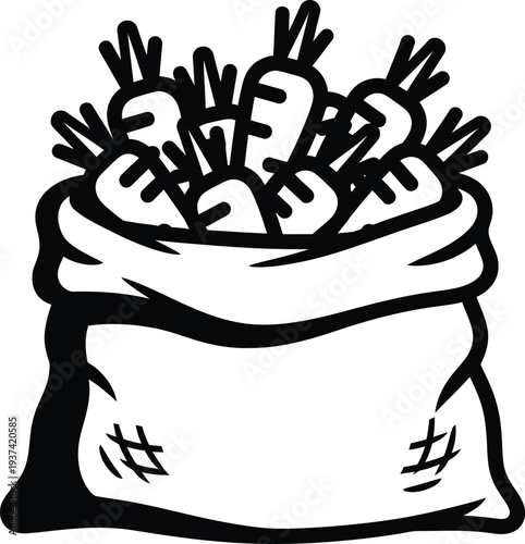 Carrots in burlap sack freshly harvested garden vector illustration