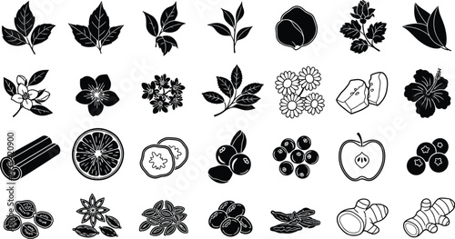 Tea ingredients set for herbal infusion vector illustration