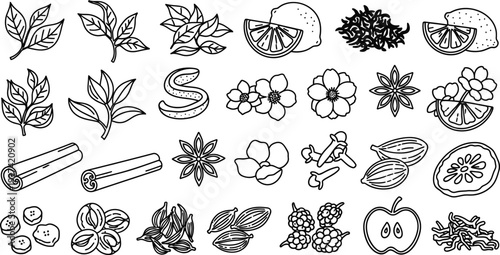 Tea ingredients set for herbal infusion vector illustration