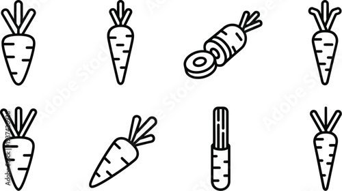 Carrot icon set for healthy eating concept vector