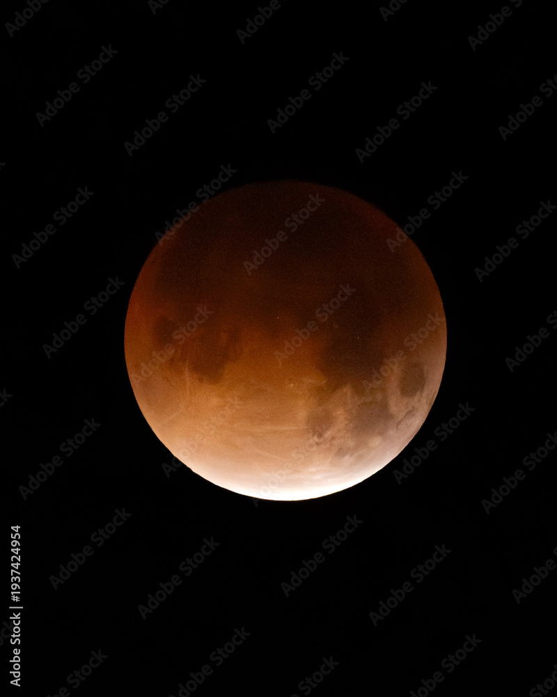 Naklejka premium A dramatic view of the Moon during a total lunar eclipse.