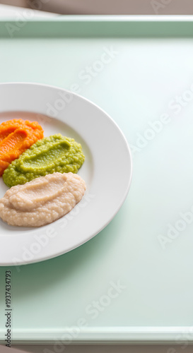 Shallow plate with neatly separated portions of pureed vegetables and protein placed on the left third of a pale mint hospital tray, wide empty right area as negative space.