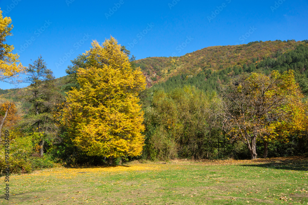 Fototapeta premium Autumn Landscape around Pancharevo lake, Bulgaria