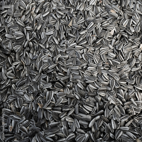 Quadro em tela closeup of pile of Sunflowers seeds
