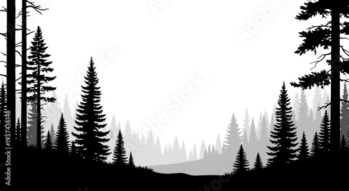 Silhouette of a dense evergreen forest with layered trees and a misty horizon.
