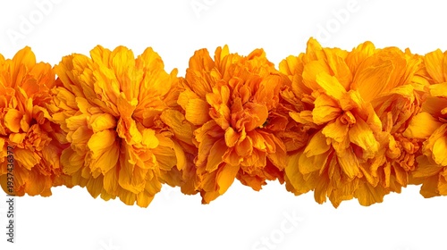 Vibrant Orange Marigold Flower Garland Isolated on White Background.