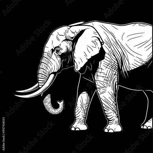 Detailed white outline illustration of a majestic African elephant in side profile, showcasing its large tusks and wrinkled skin, against a stark black background, symbolizing strength and wildlife.