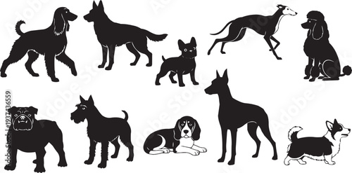 Diverse Dog Breeds Silhouette Collection: A Unique Vector Art Ensemble
