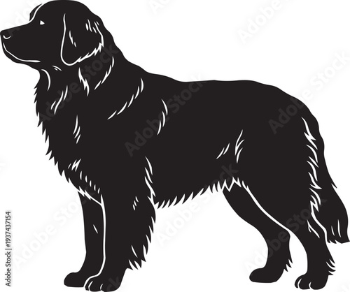 Elegant Silhouette of a Golden Retriever Dog
