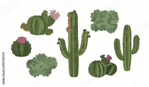 Botanical desert plant wreath vector with cactus succulents and flowering barrel cactus isolated on white