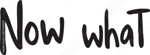 Handwritten 'now what' phrase in black on white background simple typography