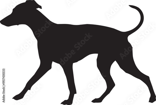 Greyhound Dog Silhouette Isolated on White Background for Pet Logo Design