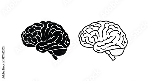 Brain diagram comparison Vector