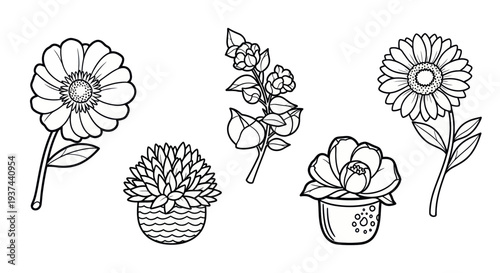 Black and white hand-drawn floral line art set with flowers and potted plants, perfect for coloring books and botanical designs