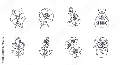 Hand-drawn spring flower illustrations including tulips and blossoms in line art style, perfect for seasonal design projects and floral decorations