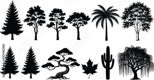 Black tree silhouettes set including pine spruce palm maple leaf bonsai cactus and willow icons isolated on white background for nature landscape vector design