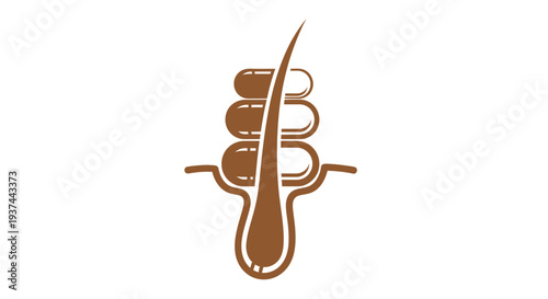 Illustration of a hair follicle with capsules surrounding the hair shaft