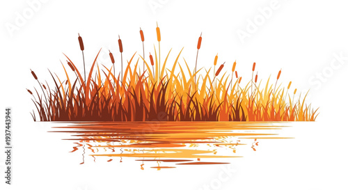 Reeds by calm water surface reflection.