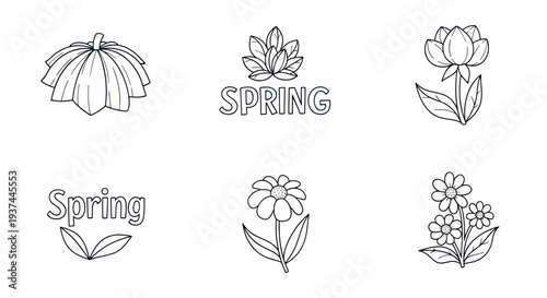 Outline spring flower icons collection with floral elements and text for seasonal design and springtime decoration