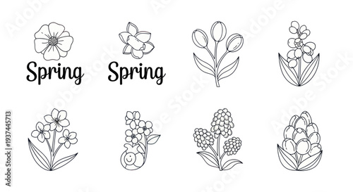 Hand-drawn spring flowers line art collection with stylized floral elements for creative design and seasonal decoration