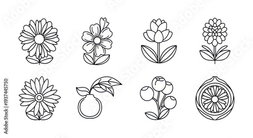 Outlined floral icons set with different flower and berry designs in black and white, perfect for nature-themed design and decoration projects