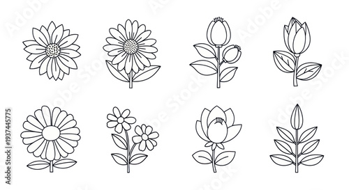 Set of black and white hand-drawn flower outlines with leaves and stems, perfect for coloring books, design projects, and floral illustrations