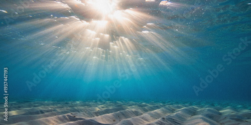 Fotografie Sunlight streams through clear ocean water illuminating a sandy seabed below