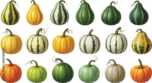 Pumpkin and Gourd Collection with Different Shapes and Colors Autumn Harvest Vegetable Vector Illustration Set
