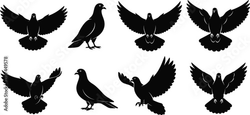 Black Pigeon Silhouette Collection with Flying Landing and Standing Poses Urban Bird Vector Illustration Set