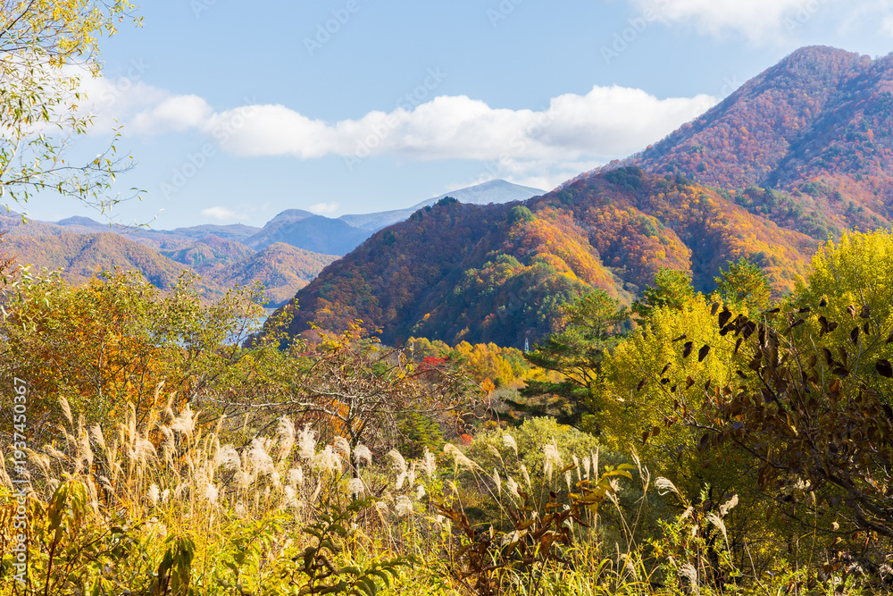 Fototapeta premium 日本の風景・秋 福島県裏磐梯 紅葉の五色沼湖沼群 