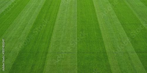 Freshly mown lawn with distinct stripes of varying green shades visible