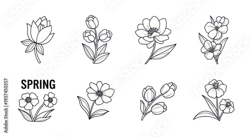 Hand drawn spring flower line art set with text isolated on white background, perfect for decoration and seasonal design projects