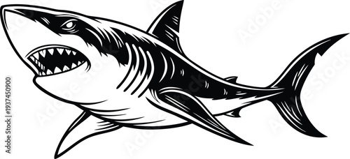 A black and white illustration of a great white shark with its mouth open