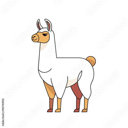 White brown llama standing for cute Andean animal character illustration