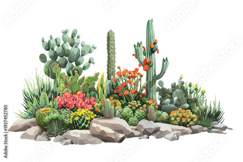 Miniature cactus garden arrangement isolated