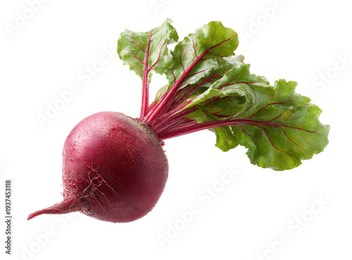 Vibrant close-up of a fresh, red beetroot with leafy green and red-veined tops
