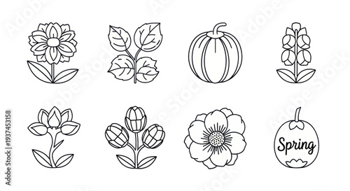 Set of eight black and white spring gardening icons featuring flowers, leaves, pumpkin and floral elements for seasonal designs and coloring books
