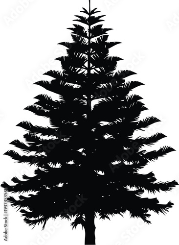 A sleek black silhouette of a coniferous tree against a plain background