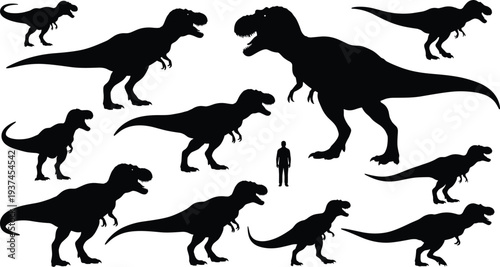 Tyrannosaurus rex dinosaur silhouettes showing size comparison with human figure, prehistoric predator evolution, realistic black vector illustration set isolated on white background
