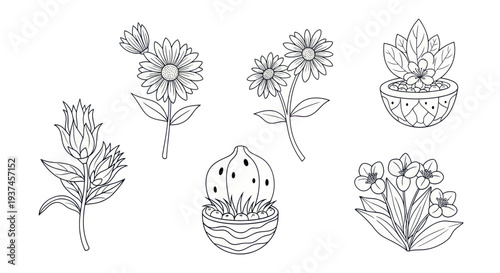 Hand-drawn black and white botanical floral illustration set with flowers, succulents and leafy plants perfect for coloring books and nature designs