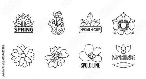 Spring flower line art icons set with leaves and floral elements, black and white botanical illustrations for seasonal design and branding