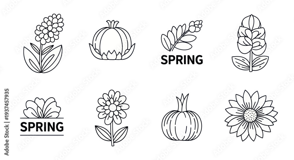 Fototapeta premium Spring themed black and white simple flower and pumpkin line icons with text elements, perfect for seasonal design and decoration