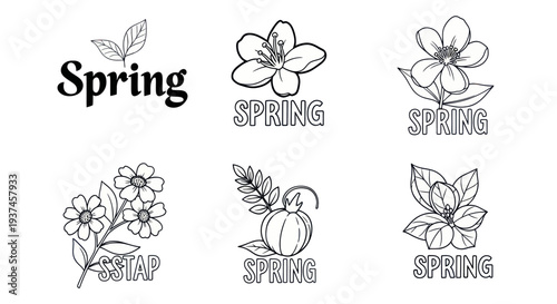 Spring floral line art illustrations with text design, simple black and white flower and leaf sketches ideal for seasonal greeting cards and decorations