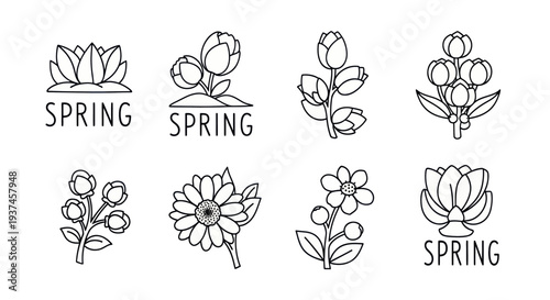 Set of simple black and white spring flower icons and floral elements for seasonal design and decoration