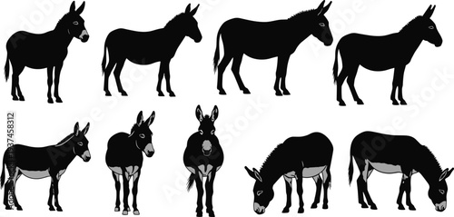 Donkey silhouettes set in standing and grazing poses, farm animal collection for agriculture, rural life, livestock farming, and animal husbandry concept isolated on white background