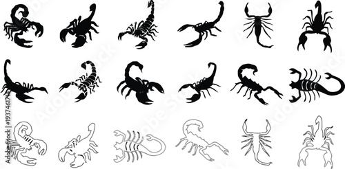 Assortment of scorpion silhouettes, from detailed illustrations to simplified outlines