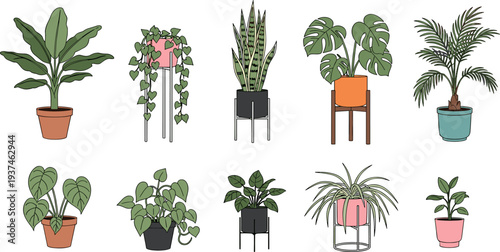 Indoor house plants collection vector illustration, potted home greenery, tropical plant icons set for interior decoration design