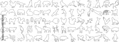 collection of animal line drawings various species on white background