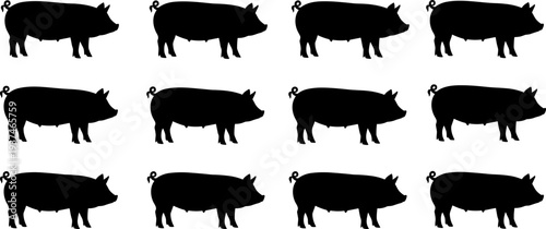 Pig silhouettes collection featuring farm swine livestock animal isolated vector illustration black hog shape set bundle